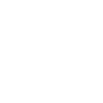 bsi